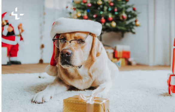 Christmas Time-Saving Tips: Celebrate the Season Without the Stress