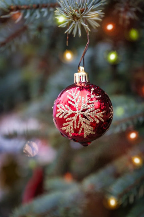 Fun and Creative Christmas Tree Alternatives for Your Christmas in July Celebration!