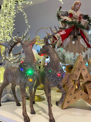 Light up Reindeers... Santas little painters