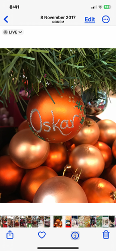 Oskar Santas little painters